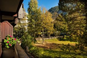 Vonkajšia záhrada v ubytovaní Appartementhaus Gastein inklusive Alpentherme gratis