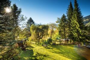 Príroda v okolí apartmánu