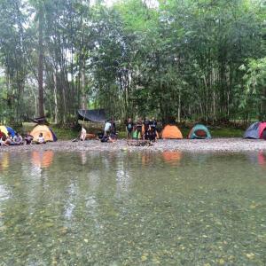 eine Gruppe von Menschen, die neben einem Wasserkörper campen in der Unterkunft Bukit Lawang Glamping & Jungle Trekking in Bukit Lawang