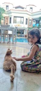 Haustiere von Gästen der Unterkunft Dalyan Hotel Nish Caria