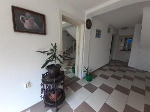 a hallway with a potted plant sitting on a floor at Guest House Zarnovel Palace in Ohrid