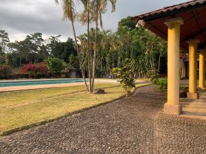 un cortile con piscina e palme di Casa 3 a 5 min del Irtra a Retalhuleu