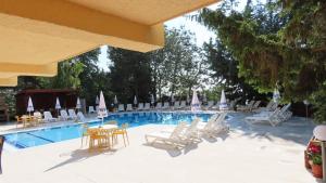 The swimming pool at or close to Hotel Exotica