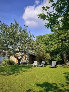 zwei Stühle und ein Baum im Hof in der Unterkunft Borgo Castelluccio Country House in Porretta Terme