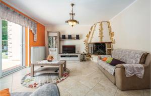 a living room with a couch and a fireplace at Nice Home In Vinez With 3 Bedrooms, Wifi And Outdoor Swimming Pool in Vinež