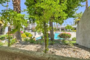 a row of trees in front of a swimming pool at Chic Palm Springs Gem with Patio and Pool Access! in Palm Springs