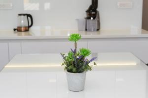 Fotografie z fotogalerie ubytování Apartman Milena v destinaci Solin