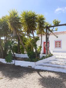 uma casa branca com palmeiras em frente em Monte da Casa Branca by Hi Alentejo em São Bartolomeu da Serra