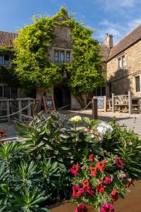 a bunch of flowers in front of a building at Kings Arms in Bradford on Avon