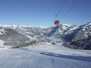 Chalet Finkenwiese talvel