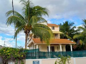 uma casa com uma palmeira em frente em VILLA L'OR with Private Pool em Flic-en-Flac