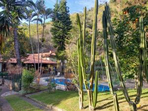a house with a swimming pool and a palm tree at Pousada Cozy House in Itaipava