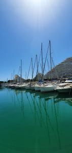 Studio confort, plages proche, wifi, 2 lits - FAME MARINA BAIE DES ANGES في فيلنوف لوبيه: مجموعة من القوارب مرساة في جسم مائي