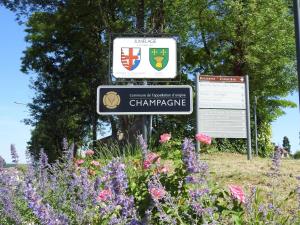 Gallery image of Gîte indépendant avec SPA, jardin, terrain de pétanque, proche vignoble du Champagne à Colombey - FR-1-611-45 in Colombey-les-deux-Églises