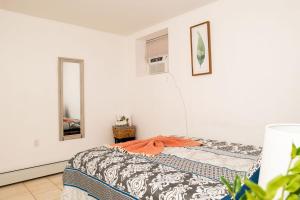 um quarto com uma cama e um espelho em Tonel Paradise 1BR private entrance Near JFK em Rosedale