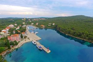 an aerial view of a river with a dock at Apartments with a parking space Molat - 6249 in Molat