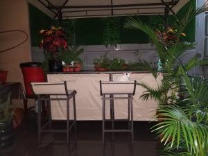 a cat sitting on top of a counter with two chairs at Casa Serena in Guayaquil