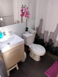baño con aseo y lavabo con flores en Condominio Bahia Horizonte, en Coquimbo