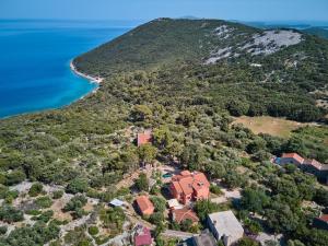 eine Luftansicht eines Hauses auf einem Hügel neben dem Meer in der Unterkunft Apartments with a parking space Cunski, Losinj - 7867 in Čunski