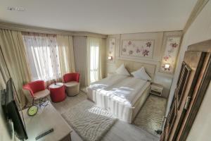 a bedroom with a bed and a desk and a television at Hotel Golden Spirit in Băile Herculane