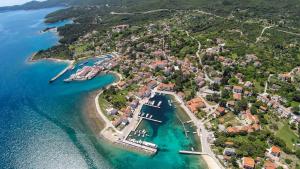 uma vista aérea de uma pequena ilha com barcos na água em Apartments with a parking space Nerezine, Losinj - 7961 em Nerezine