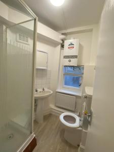a bathroom with a shower and a toilet and a sink at Cosy 1 Bedroom Apartment in London