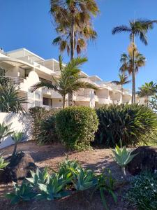 a large white building with palm trees and plants at Camargue Beachfront Apartments in Maroochydore