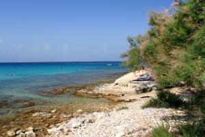 a group of people sitting on a beach near the water at Apartments and rooms with parking space Susica, Ugljan - 8265 in Ugljan