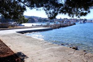 Fotografie z fotogalerie ubytování Apartments by the sea Ilovik, Losinj - 12275 v destinaci Ilovik