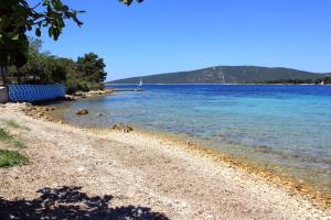 einen Strand mit blauem Wasser und felsiger Küste in der Unterkunft Apartments by the sea Ilovik, Losinj - 12275 in Ilovik