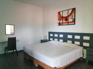 特來亞卡潘的住宿－Hacienda San Miguel，一间卧室配有一张床、一张桌子和一把椅子