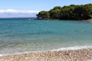 einen Strand mit blauem Wasser und Bäumen im Hintergrund in der Unterkunft Apartments by the sea Ugljan - 15104 in Ugljan