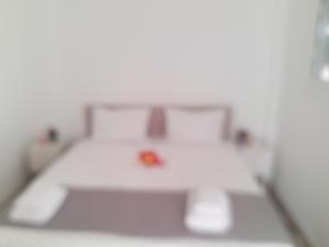 Fotografie z fotogalerie ubytování Georgia's quality apartments 4 v destinaci Parikia