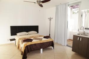 Gallery image of Iris Studios & Apartments in Playa del Carmen