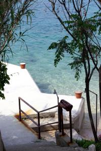 Fotografie z fotogalerie ubytování Apartments by the sea Stara Novalja, Pag - 4099 v Novalji