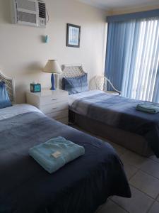 1 dormitorio con 2 camas y ventana en Seafront Shack, en Port Hughes