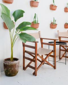 una pianta in un vaso accanto a una sedia e a un tavolo di Roemah Renjana Sunny a Pampang
