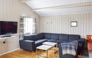 salon z niebieską kanapą i telewizorem w obiekcie Stunning Home In Sjusjen With House A Mountain View w mieście Sjusjøen
