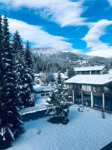 a building covered in snow with trees in front of it at Laax Rancho Studio Apartment in Laax