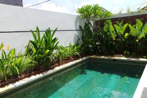 a swimming pool in a garden with plants at Villa Triyuna, our little paradise in Banjar