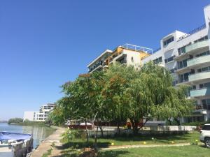 a tree in front of a apartment building at Mario Apartamente - Romantic Mamaia in Mamaia