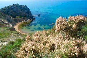 Táj Show holiday homes közelében