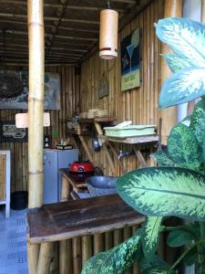 Frangipani Garden Villa في سينغيغي: مطبخ بجدران خشبية ونباتات في الغرفة