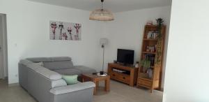 ein Wohnzimmer mit einem Sofa, einem Stuhl und einem TV in der Unterkunft Chez Valérie in Vergèze