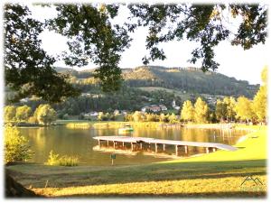 a lake with a dock in the middle of it at Apartment THE VIEW in Zirkitz