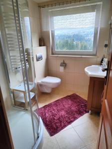a bathroom with a toilet and a sink and a window at Apartament Złap Oddech in Zakopane