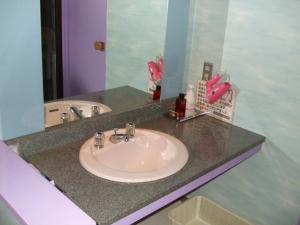 um balcão de casa de banho com um lavatório e um espelho em キャッスル24 em Hanno