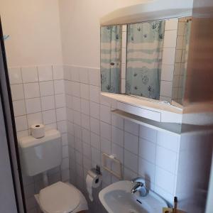 a bathroom with a toilet and a sink and a mirror at Apartments Bojana Rab in Rab