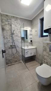 a bathroom with a shower and a toilet and a sink at NEA Apartments in Ahtopol