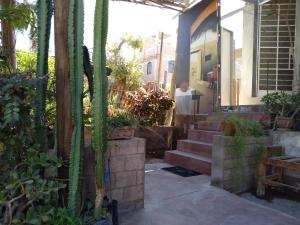 Zahrada ubytování Habitación 2p independiente desde el jardin - Tierra del Sol Eterno - Ica Centro